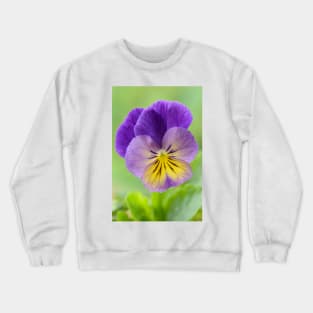 Pansy Viola Crewneck Sweatshirt